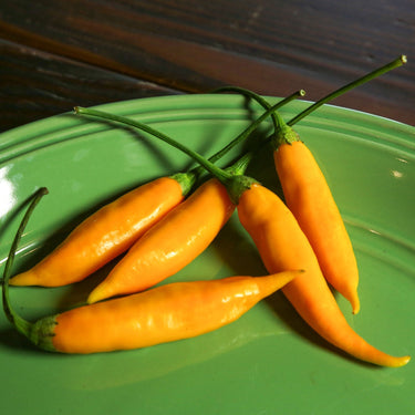 Aji Mango Pepper Seeds - The Pepper Pantry (Formerly Marie Sharp's)